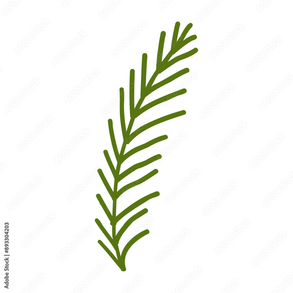 Fototapeta premium Tropical botanical palm leaves illustration on a white