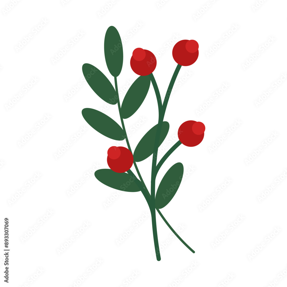 Holly berries and leaves illustration christmas new year winter Holly berries and leaves illustration christmas new year winter