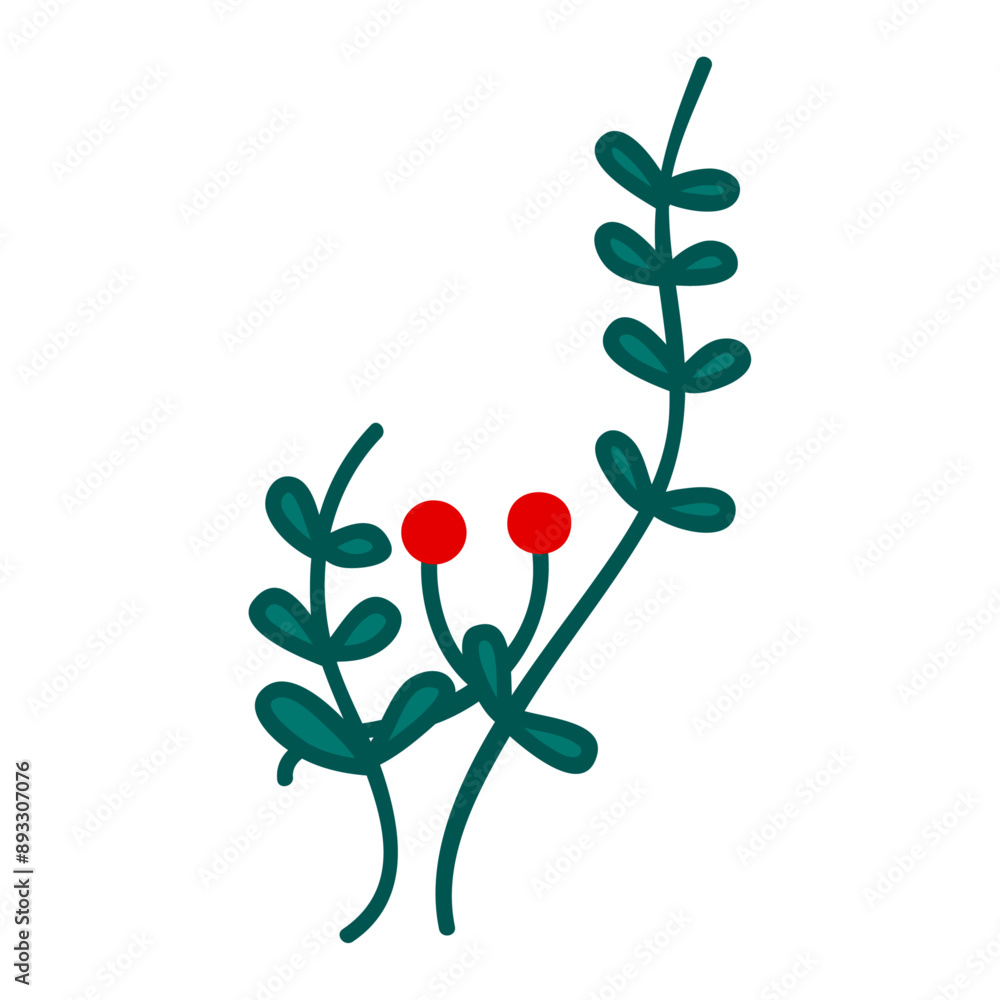 Holly berries and leaves illustration christmas new year winter on white Holly berries and leaves illustration christmas new year winter on white