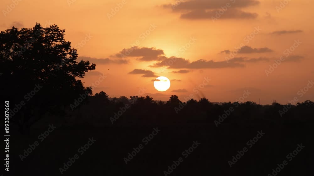 Silhouette of a tree against a vibrant orange sunset sky with scattered clouds over a forested horizon Silhouette of a tree against a vibrant orange sunset sky with scattered clouds over a forested horizon