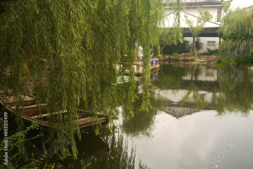 weeping willow and pond make a fresh light green landscape with wooden boat in traditional chinese garden