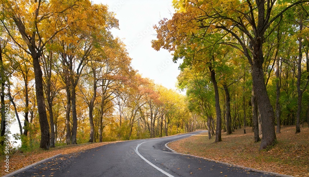 Herbst strasse Laub auf den Bäume Herbst sesson, Waldstrasse im Herbst Herbst strasse Laub auf den Bäume Herbst sesson, Waldstrasse im Herbst