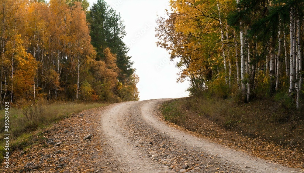 Herbst strasse Laub auf den Bäume Herbst sesson, Waldstrasse im Herbst Herbst strasse Laub auf den Bäume Herbst sesson, Waldstrasse im Herbst