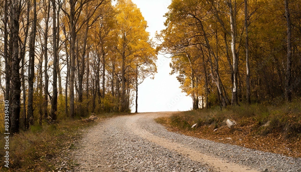 Herbst strasse Laub auf den Bäume Herbst sesson, Waldstrasse im Herbst Herbst strasse Laub auf den Bäume Herbst sesson, Waldstrasse im Herbst