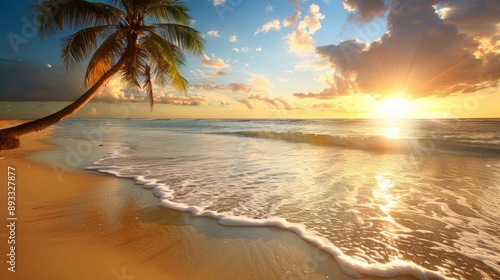 Tropical sunset over ocean with a leaning palm tree