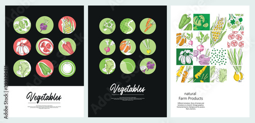 Vegetarian food. Vegetables are drawn with a single line. Tomatoes, pumpkin, onion, garlic.
