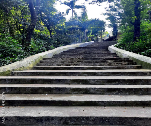 Tree and asky , stairs . photo