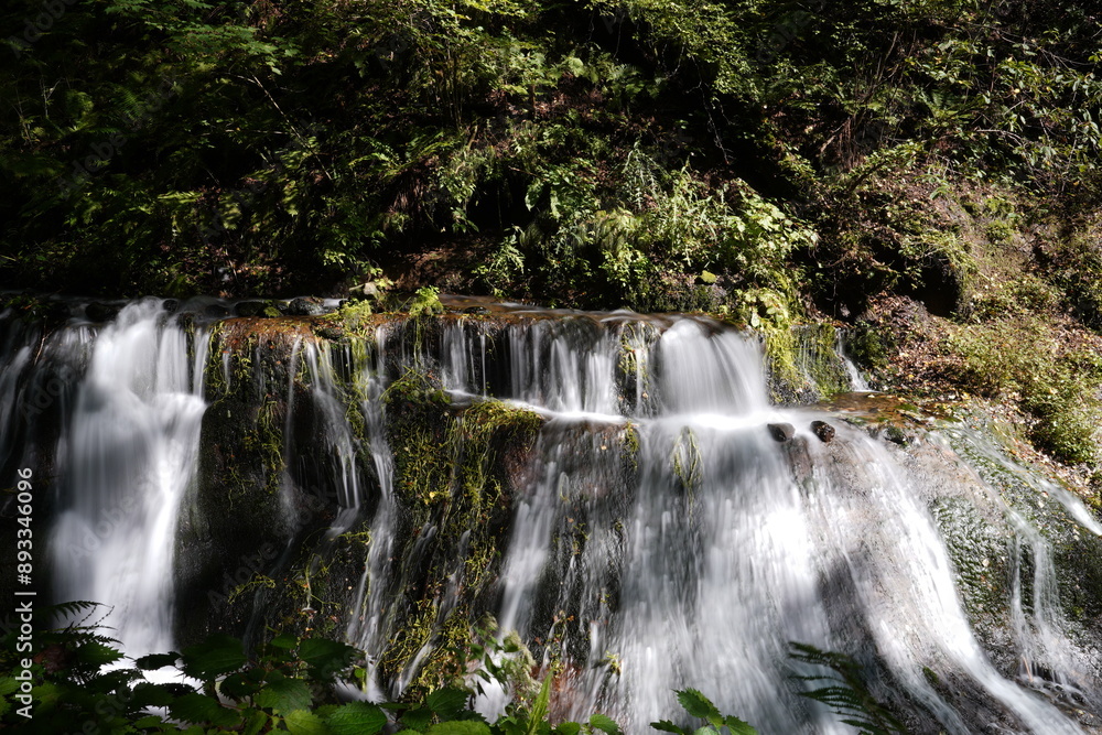 Fototapeta premium 白糸の滝