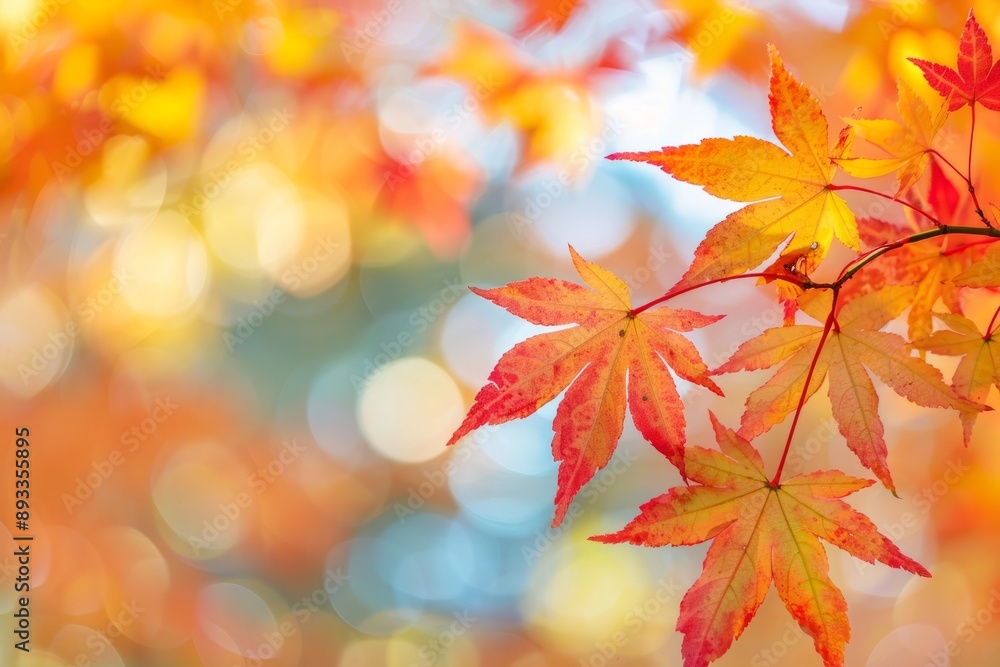 close up view of a maple leaf tree against blurred autumn scenery background, welcome autumn close up view of a maple leaf tree against blurred autumn scenery background, welcome autumn
