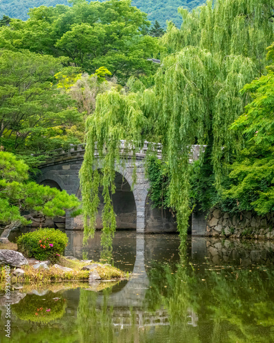 Pomd amd bridge surrounded by weeping willows in the gardens of the Bulguksa temple, Tohamsan, Gyeongju, South Korea.