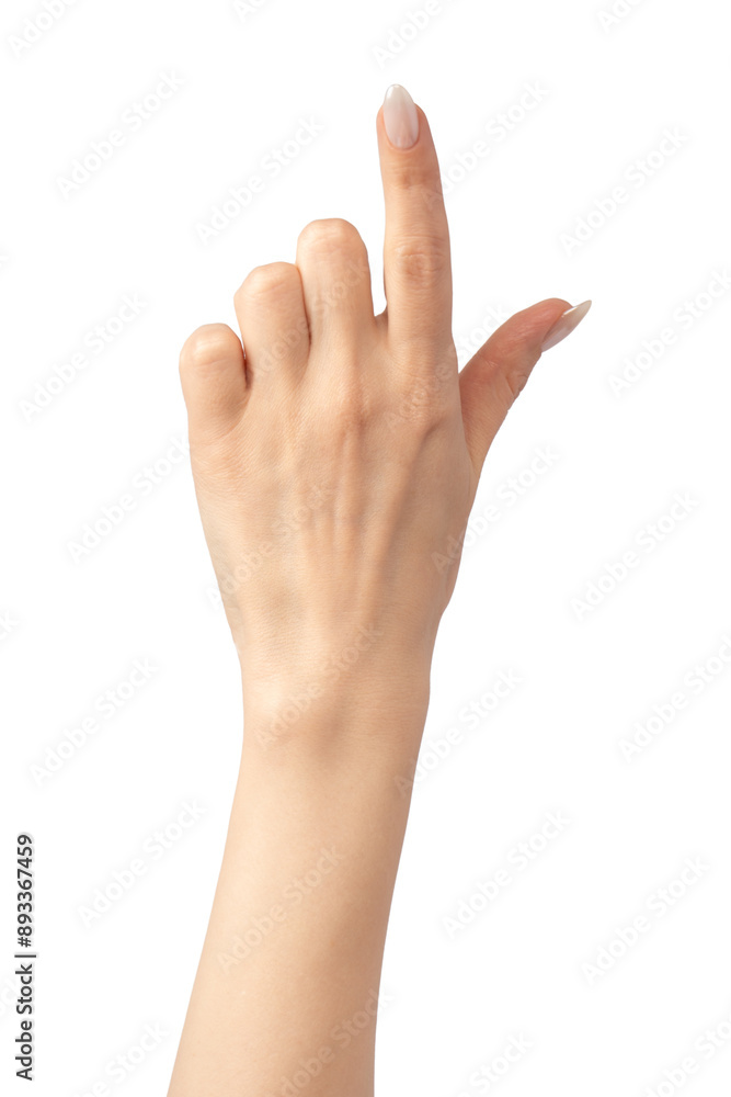 Woman hands isolated on a white background. Woman hands isolated on a white background.