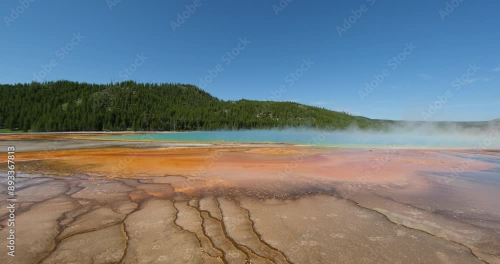 Grand Prismatic Spring wide angle landscape. In Midway Geyser Basin, Yellowstone National Park, USA Grand Prismatic Spring wide angle landscape. In Midway Geyser Basin, Yellowstone National Park, USA