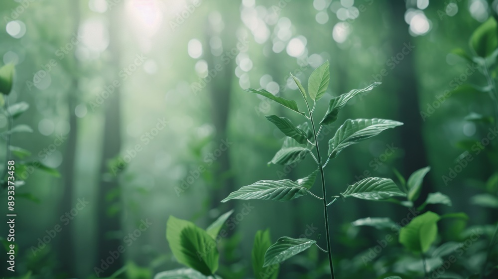 A dense, ancient forest where trees have invisible guardians that can only be seen through their shadows and light refractions.