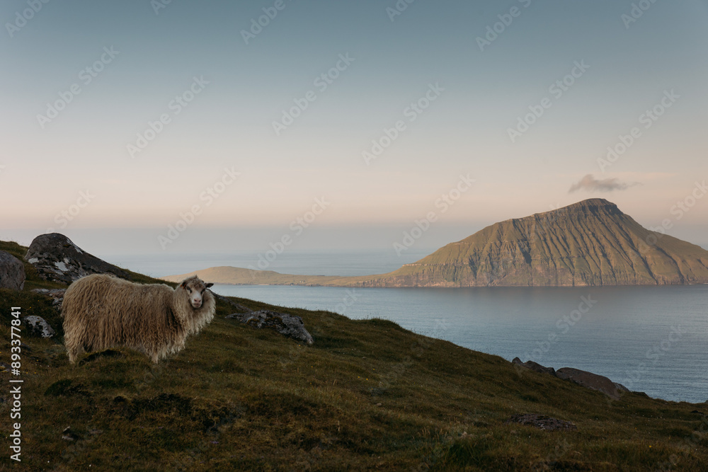 Obraz premium Faroe island beautiful landscape in summer time with sun