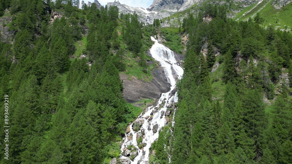 Flowing water and Daisy flower in the mountain landscape, waterfalls and streams bring water and life to the valley in spring and summer in Alpe Devero Italian and Swiss Alps , Ossola Italy