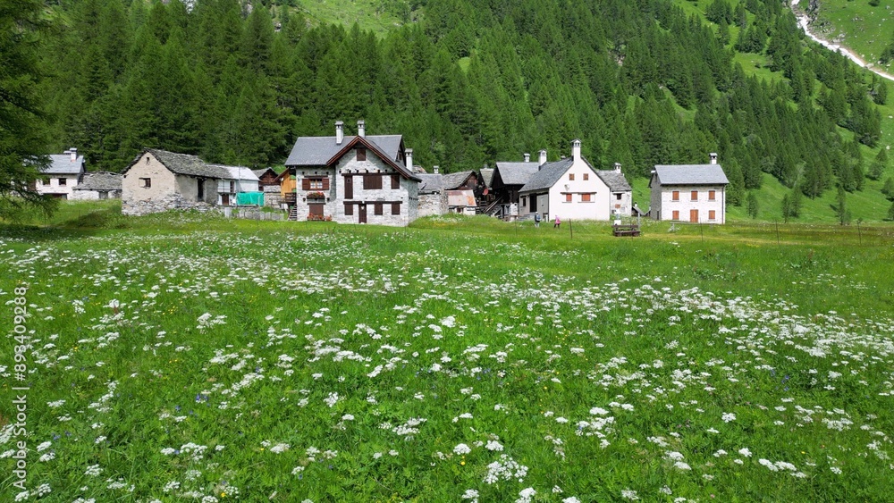 enchanted mountain village in summer with meadow of flowers seen from the drone -increase in tourism in mountain places to visit the ancient villages and go for walks in Alpe Devero,Ossola Apls Italy