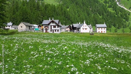 Obraz na płótnie enchanted mountain village in summer with meadow of flowers seen from the drone -increase in tourism in mountain places to visit the ancient villages and go for walks in Alpe Devero,Ossola Apls Italy w salonie
