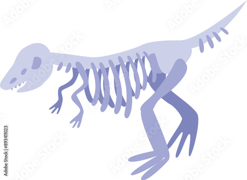 Purple tyrannosaurus rex skeleton walking on white background