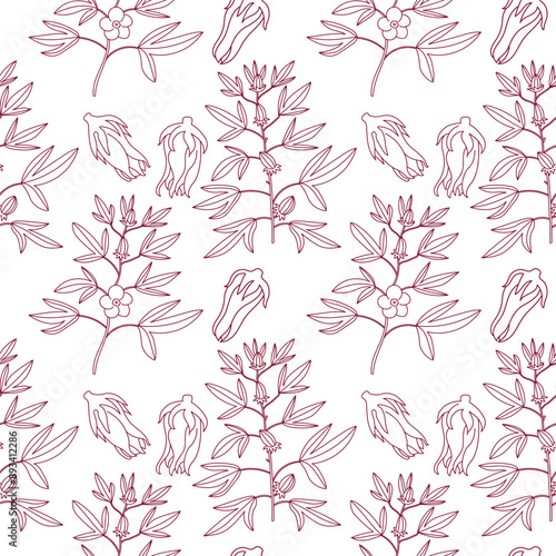 Seamless pattern with Red Roselle fruit, branch with leaves and flower (Jamaica sorrel, Rozelle or hibiscus sabdariffa ). Hand drawn vector repeating background with tropical plant Sudanese rose