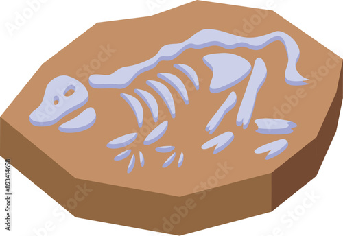 Paleontology skeleton fossil showing prehistoric animal bones indicating ancient life form