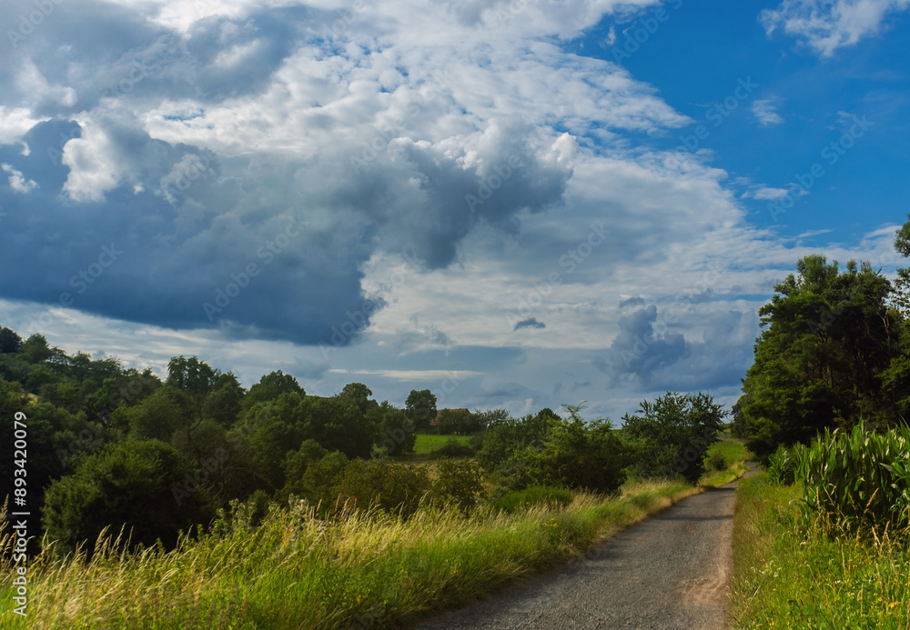 Nach dem Regen starke Wolken über Wald und Feld, Radweg Nach dem Regen starke Wolken über Wald und Feld, Radweg