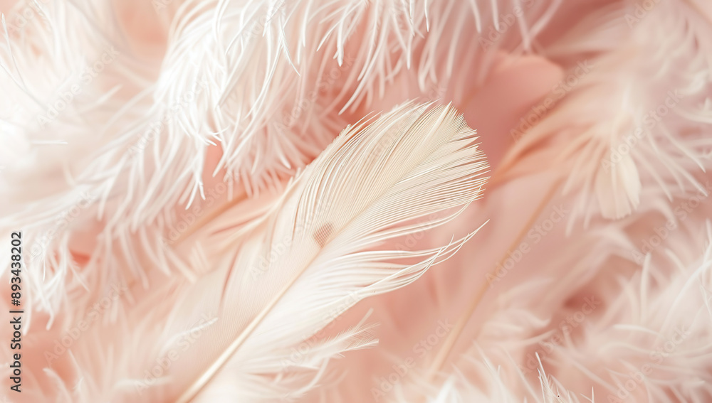 Close-up image showcases a delicate and ethereal composition of soft pink fabric and white feathers. Close-up image showcases a delicate and ethereal composition of soft pink fabric and white feathers.