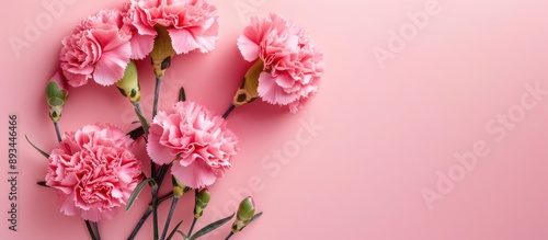 Pink carnation flowers on a...