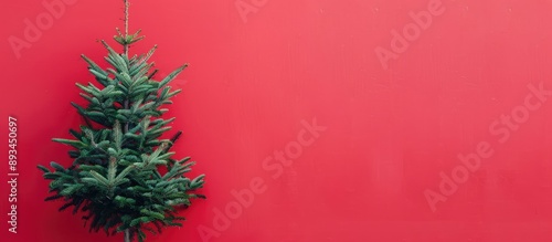 A Christmas tree is display...