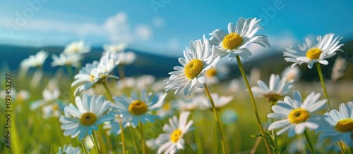 A picturesque field with da...