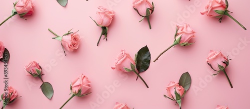 Rose flower cards on a pink...