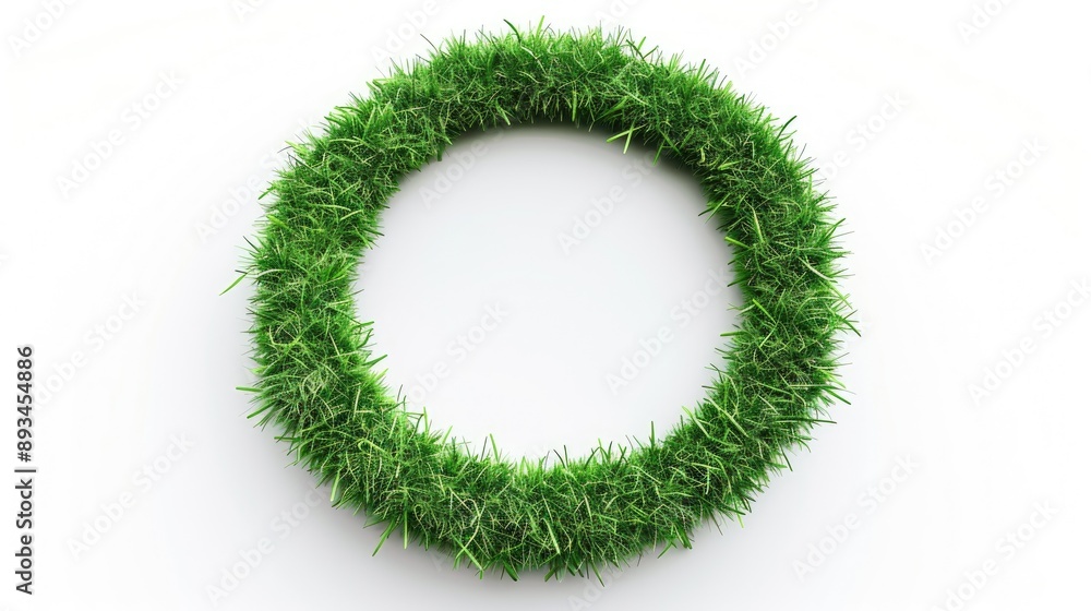 round shape made from green grass on white background round shape made from green grass on white background