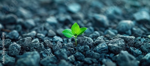 Green weeds emerging throug...