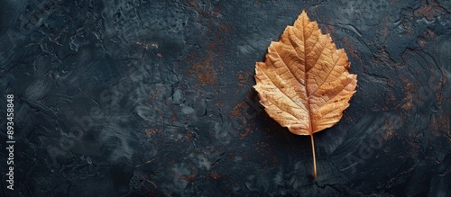 Dry leaf on the table showc...