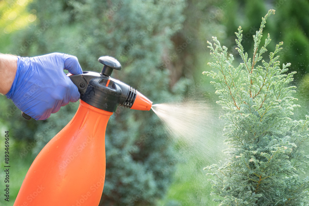 Treatment of ornamental plants from diseases and pests.