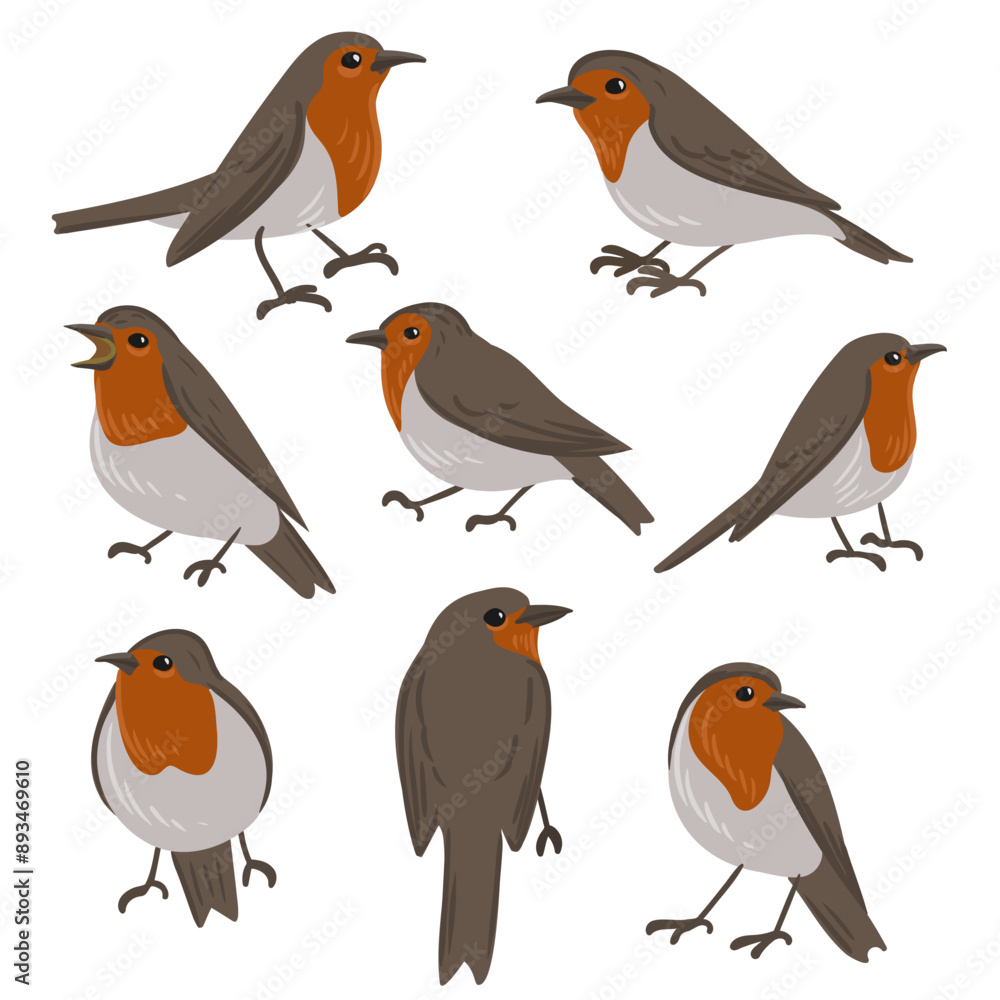 vector drawing bird, european robin, hand drawn Erithacus rubecula, isolated nature design element vector drawing bird, european robin, hand drawn Erithacus rubecula, isolated nature design element