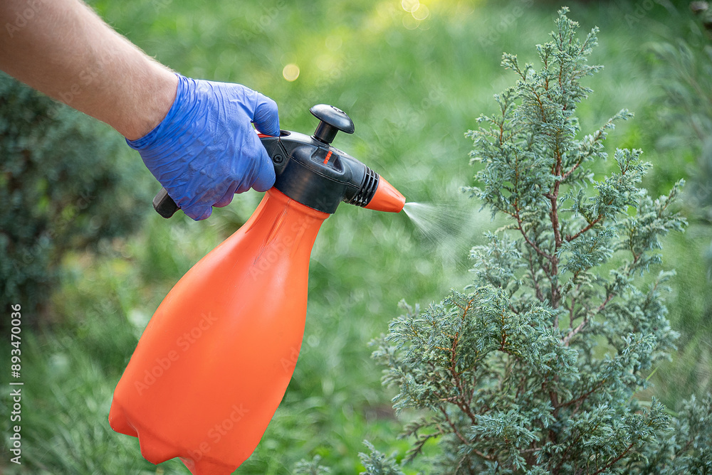 Treatment of ornamental plants from diseases and pests.