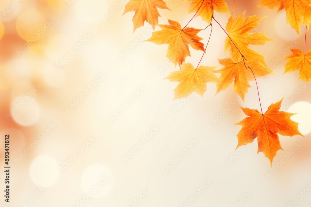 Autumn maple leaves border backgrounds plant leaf. Autumn maple leaves border backgrounds plant leaf.