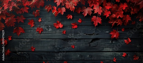 Autumn themed with red maple leaves on a dark wooden backdrop creating a striking image with copy space available