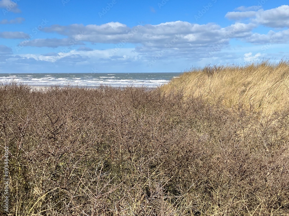 Blick auf die Küstenlandschaft der Nordseeinsel Juist Blick auf die Küstenlandschaft der Nordseeinsel Juist
