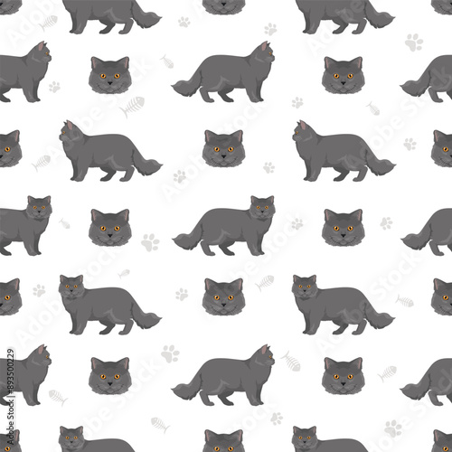 British longhair Cat seamless pattern. All coat colors set.  All cat breeds characteristics infographic. Vector illustration