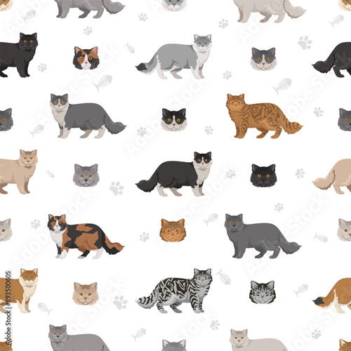 British longhair Cat seamless pattern. All coat colors set.  All cat breeds characteristics infographic. Vector illustration