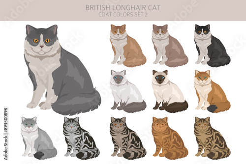 British longhair Cat clipart. All coat colors set.  All cat breeds characteristics infographic. Vector illustration