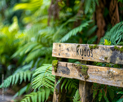 Kudos sign