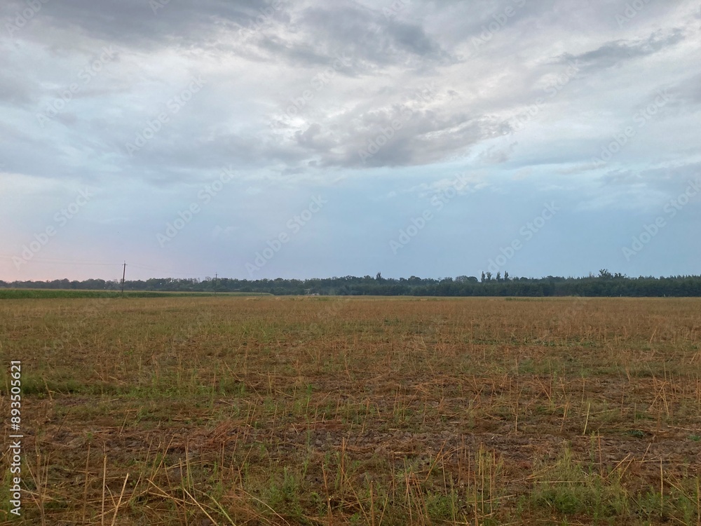 Panorama of sunrise at dawn in the field Panorama of sunrise at dawn in the field