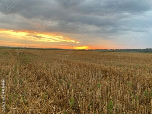 Panorama of sunrise at dawn in the field