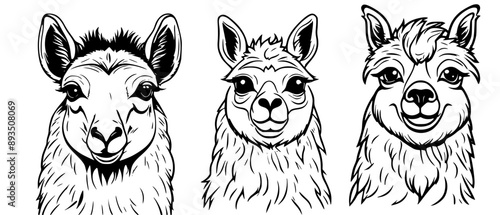 A set of cute llama heads. Portrait of llamas collection. Logo vector or icon illustration. 