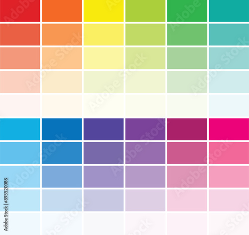 Color Shades for Every Colors Palette Isolated on White Background