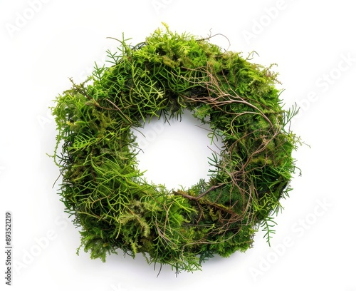 In top view, green moss is arranged in a circle on white