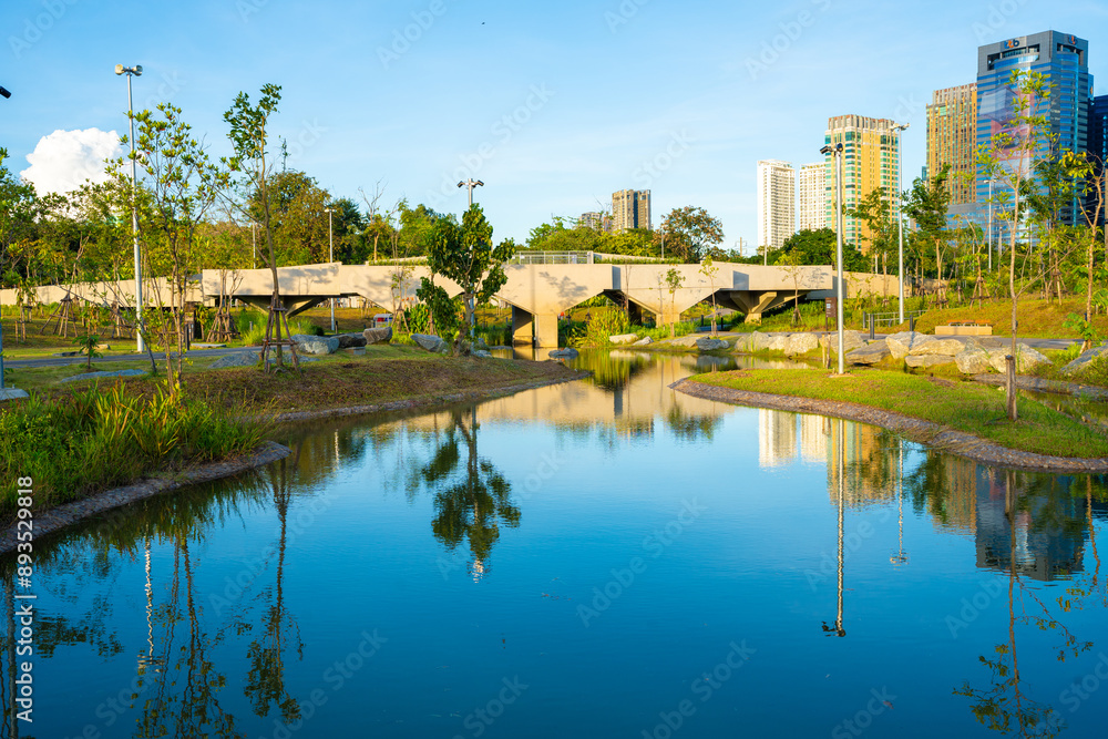 Green scene nature forest park with river public city park blue sky with cloud Green scene nature forest park with river public city park blue sky with cloud
