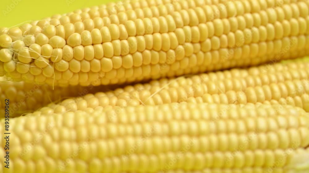 yellow sweet corn on the cob yellow sweet corn on the cob